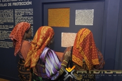 Molas 02