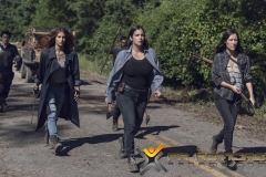 Alanna Masterson as Tara Chambler; group - The Walking Dead _ Season 9, Episode 13 - Photo Credit: Gene Page/AMC