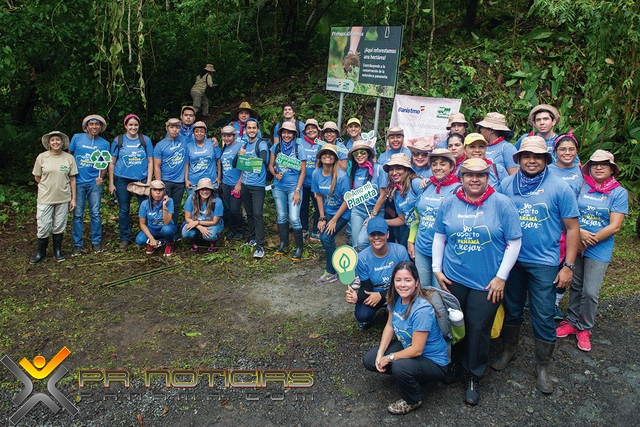 Banistmo y Fundación Natura, participan en el Gran Día Nacional de  Reforestación | PR Noticias Panamá