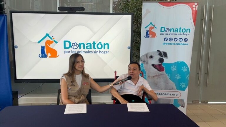 Donatón por los animales sin hogar continúa apoyando a rescatistas y fundaciones a nivel nacional