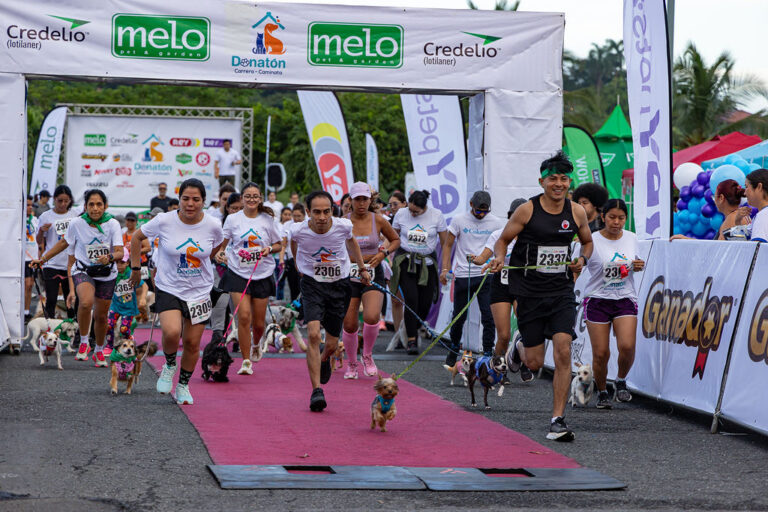 Exitosa Carrera-Caminata Donatón 2025 recaudó fondos para esterilizar perros y gatos